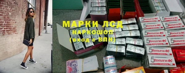 гашик Снежногорск