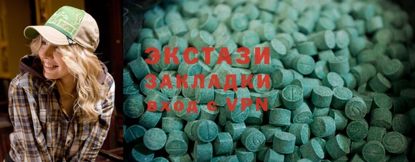 гашик Снежногорск
