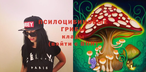 дмт Вяземский