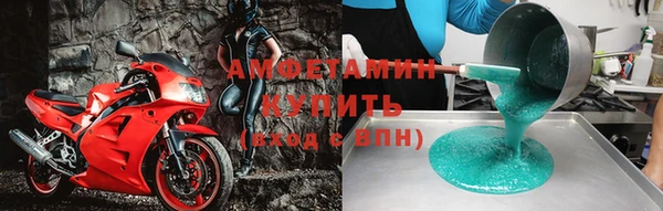 гашик Снежногорск