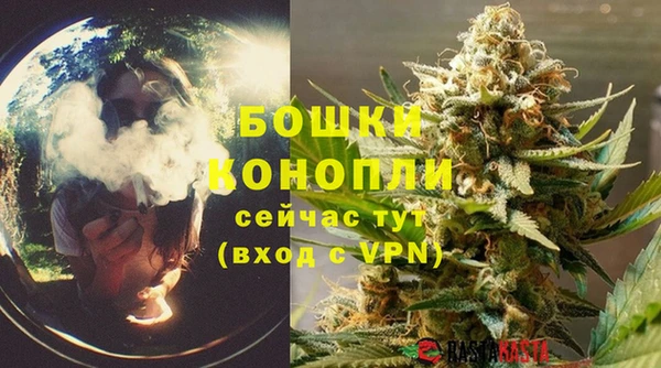 гашик Снежногорск